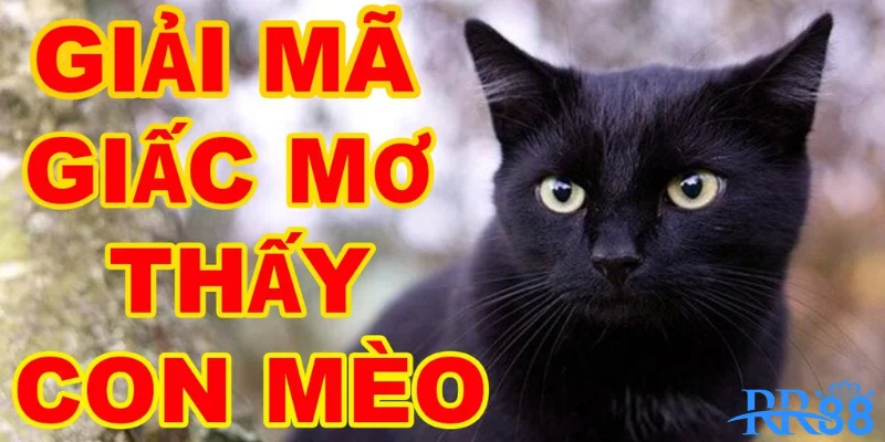 Mơ Thấy Mèo Đen Báo Hiệu Điều Giải Mã Sổ Mơ Cùng RR88 1 Giải mã giấc mơ thấy mèo đen cùng RR88